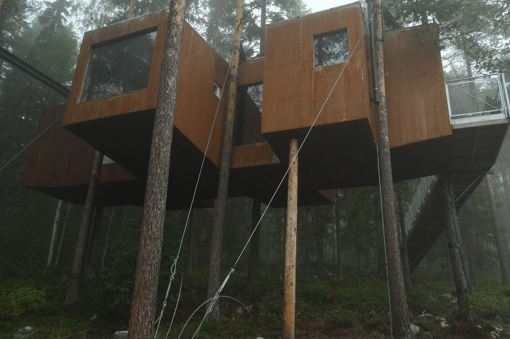 Most incredible and beautiful treehouses and treehotels from around the world, The Dragonfly Treehotel in Harads, Sweden