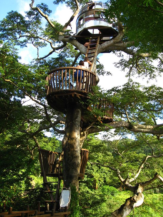 Most incredible and beautiful treehouses and treehotels from around the world, The Beach Rock Treehouse in Okinawa, Japan