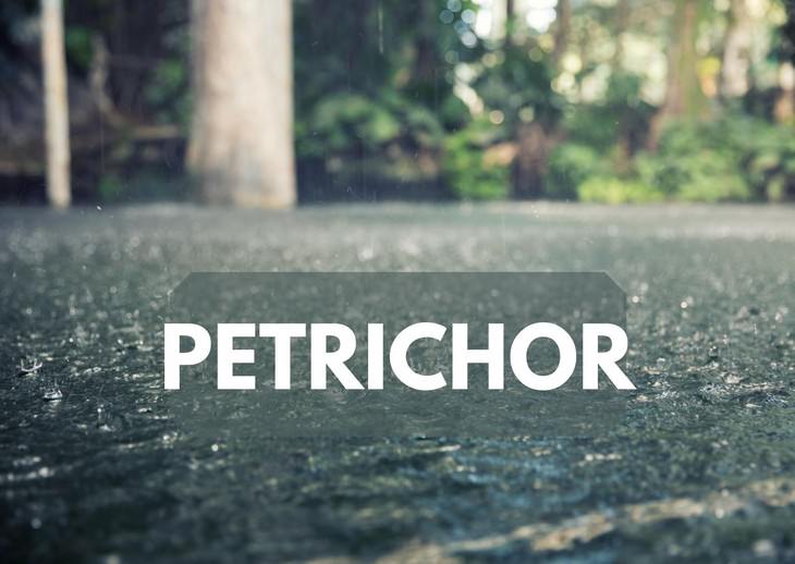 petrichor