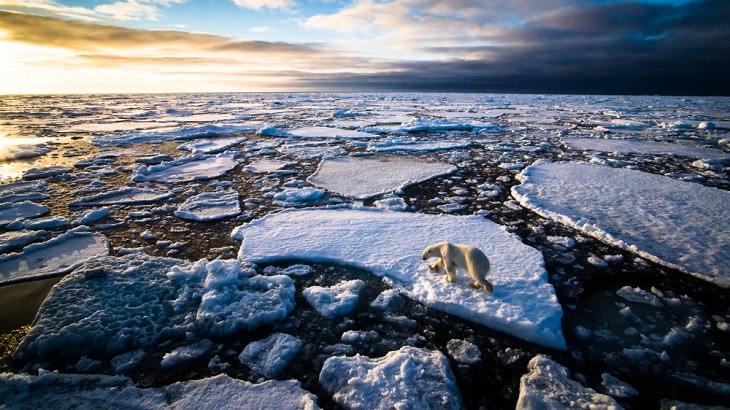 Winning Photographs from International Photography Awards One Shot: Climate Change, Category: Water, 3rd Place: The Endless Search, By Wilfred Wessel Berthelsen