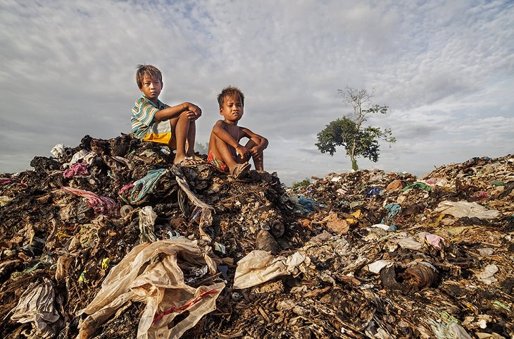 Winning Photographs from International Photography Awards One Shot: Climate Change, Category: Man, 3rd Place: A Forest Without Trees, By Javier Sanchez-Monge Escardó