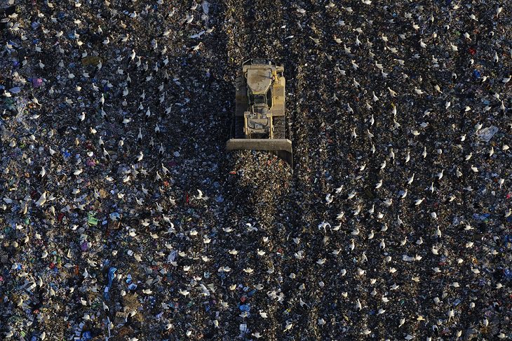 Winning Photographs from International Photography Awards One Shot: Climate Change, Category: Man, 2nd Place: Fast Food Junkies, By Jasper Doest