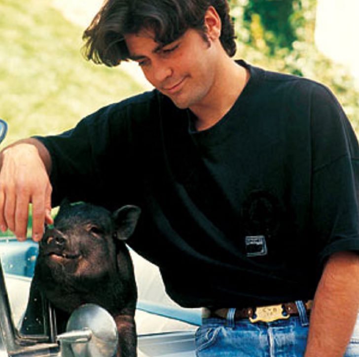 Celebrities and famous people that had strange and wild animals as exotic pets, George Clooney and his pig, Max
