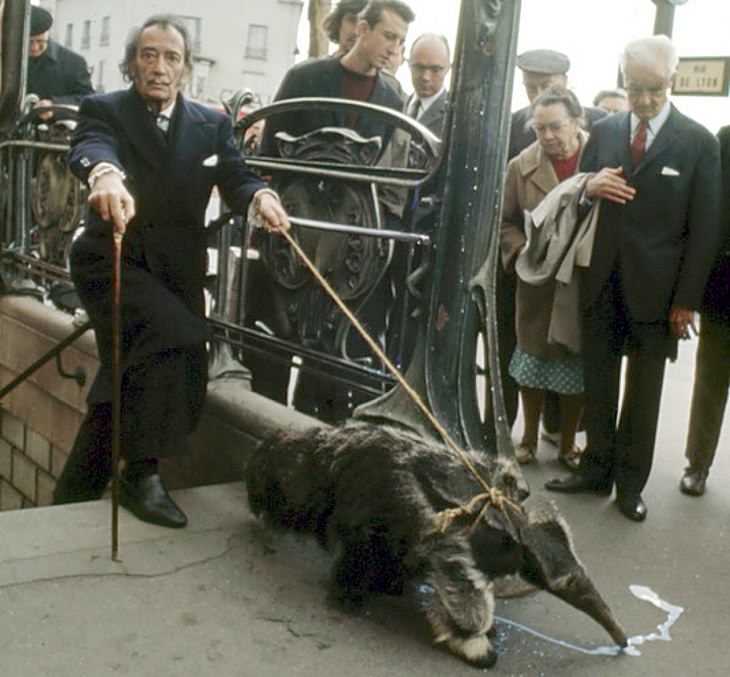 Celebrities and famous people that had strange and wild animals as exotic pets, Salvador Dali and his pet Anteater