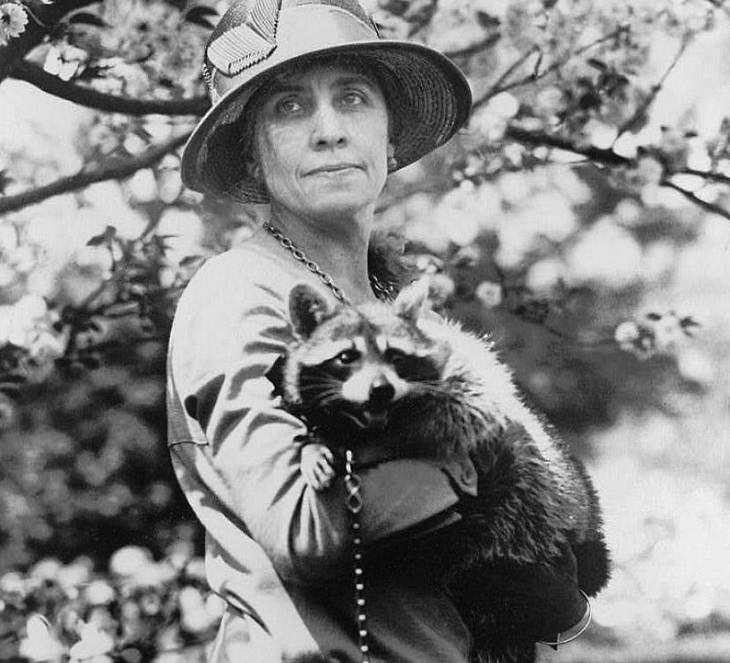 Celebrities and famous people that had strange and wild animals as exotic pets, First Lady Grace Coolidge with Rebecca, her pet Raccoon