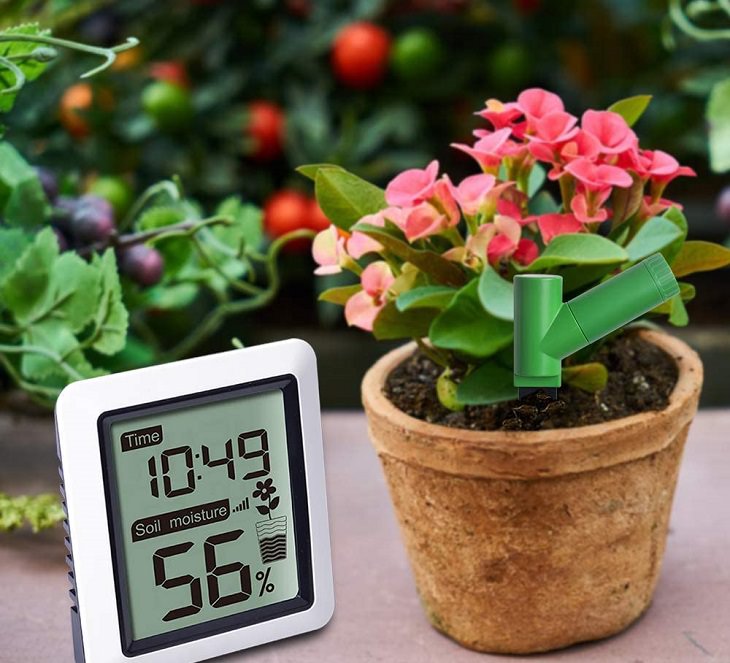 Ingenious and must-have garden gadgets, devices and items, Soil moisture sensor that sends notifications to your phone when your plant needs attention