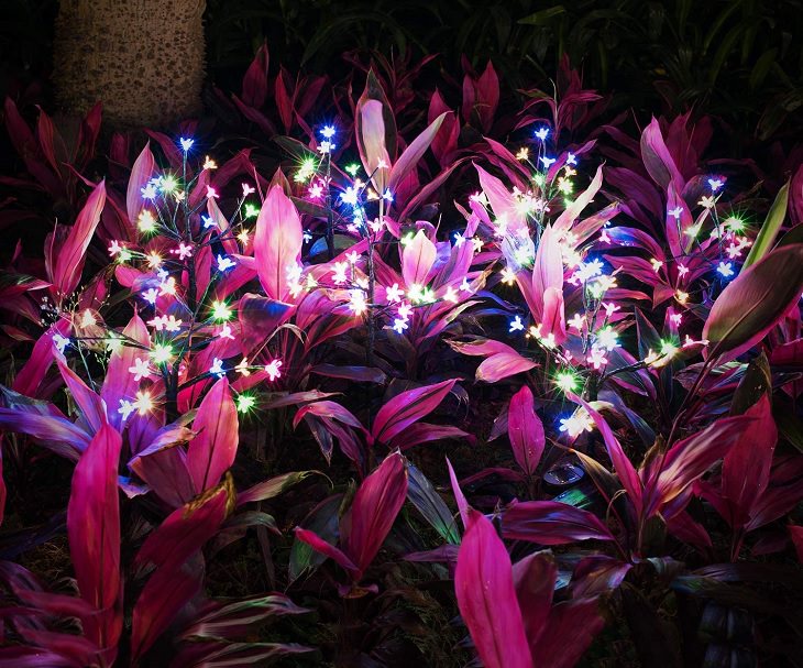 Ingenious and must-have garden gadgets, devices and items, Solar powered LED flower-shaped garden lights