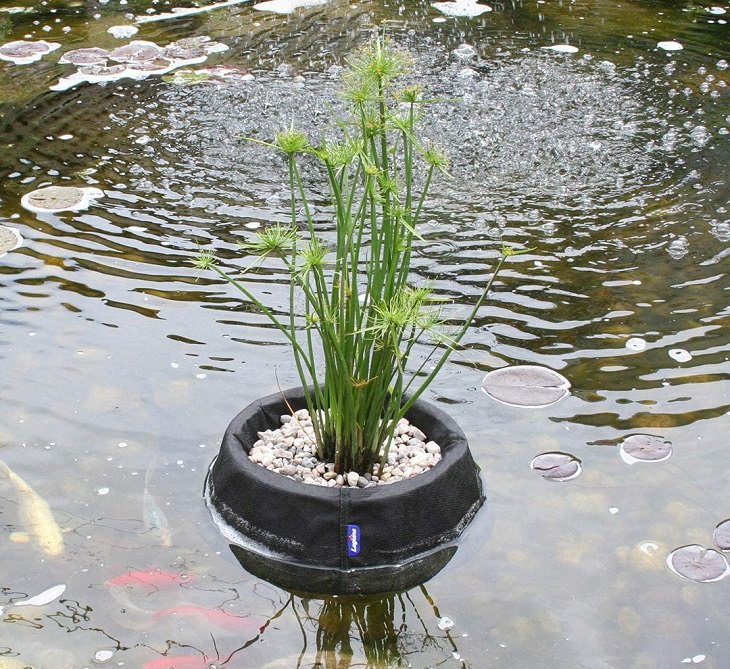 Ingenious and must-have garden gadgets, devices and items, Floating pond plant basket