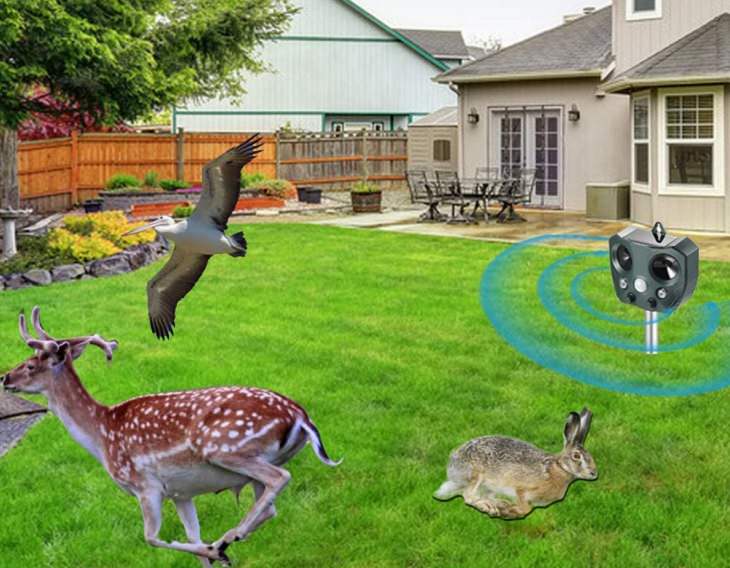 Ingenious and must-have garden gadgets, devices and items, Solar powered ultrasonic animal repeller