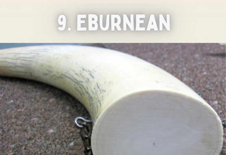 Unusual and strange colors, their names and origins, eburnean, ivory, white