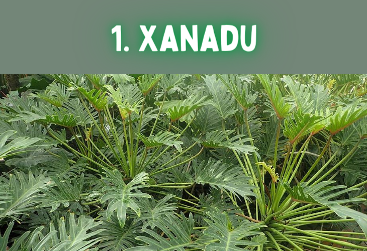 Unusual and strange colors, their names and origins, xanadu, ancient chinese city, greenish gray