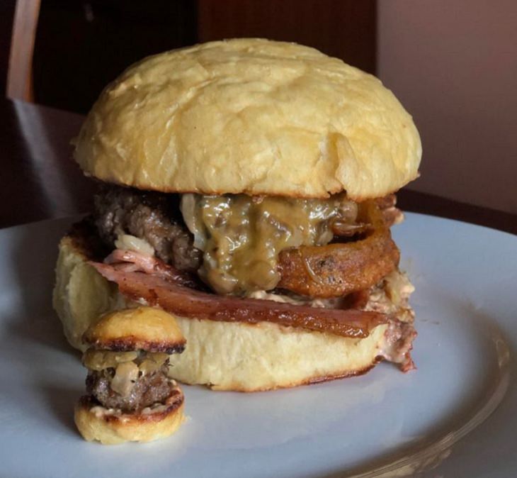 Photographs that show the size of objects and animals by comparison, tiny hamburger next to normal hamburger