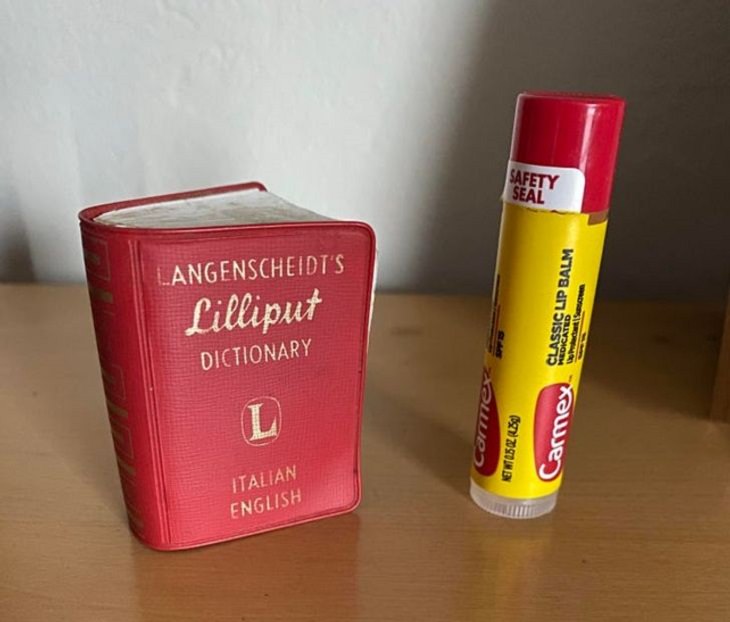 Photographs that show the size of objects and animals by comparison, The world's smallest dictionary next to a lip balm