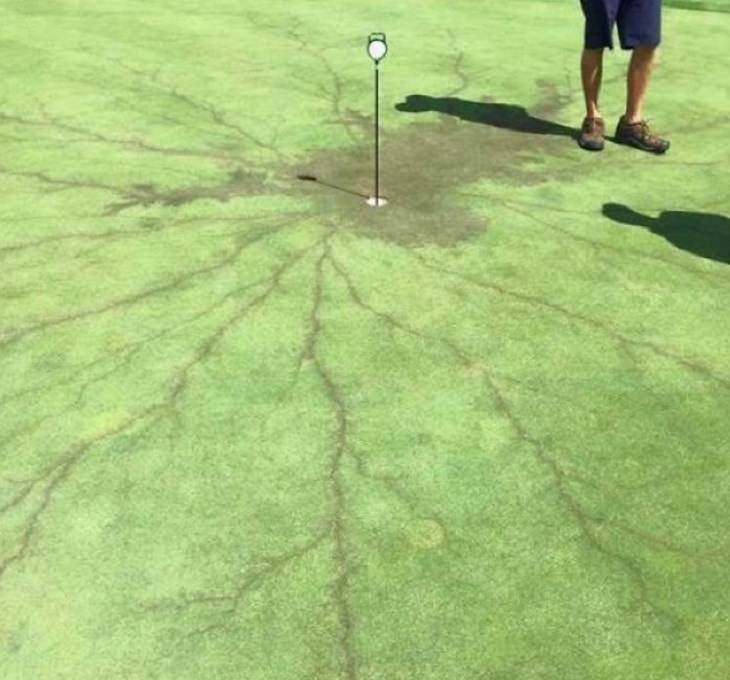 Cool mistaken experiments and events that show accidental science can be beautiful, What happens when lightning hits a flag on a golf course