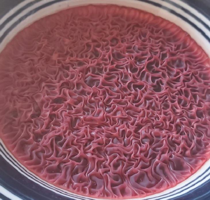 Cool mistaken experiments and events that show accidental science can be beautiful, What happens when you leave a bowl of beet juice out for many hours