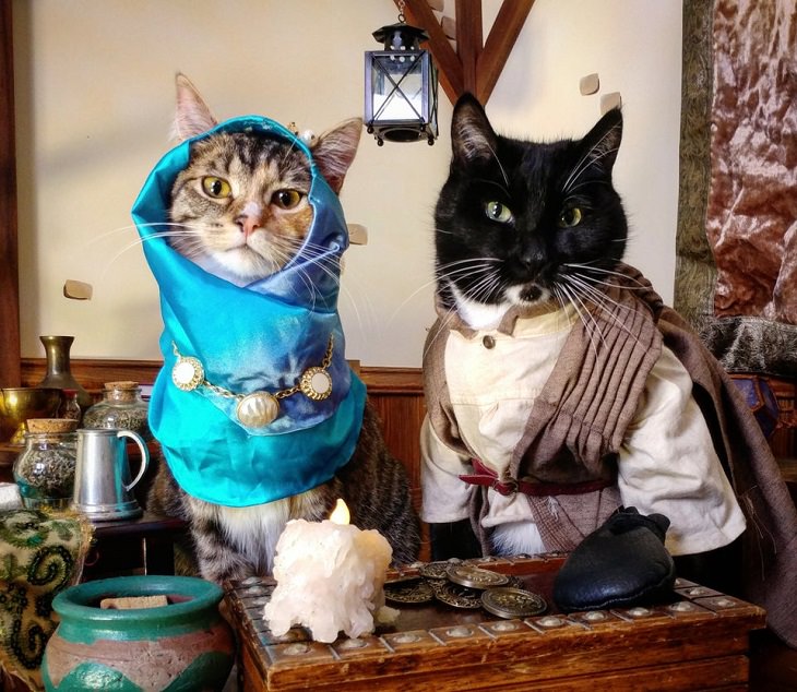 Cats dressed in costumes that are equally elegant, adorable and funny