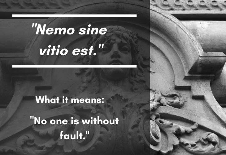 latin phrase. No one is without faul