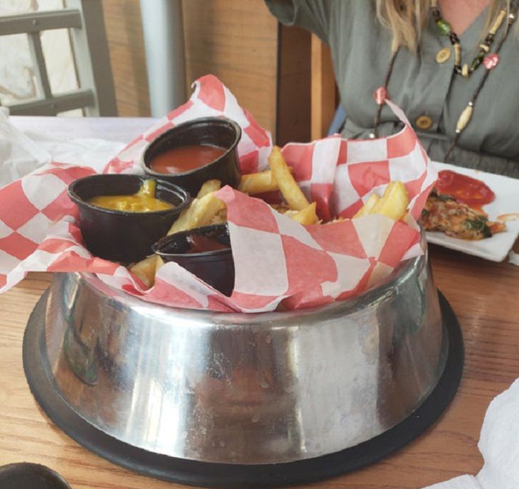 Hilariously creative replacements for plates, food served in a dog bowl