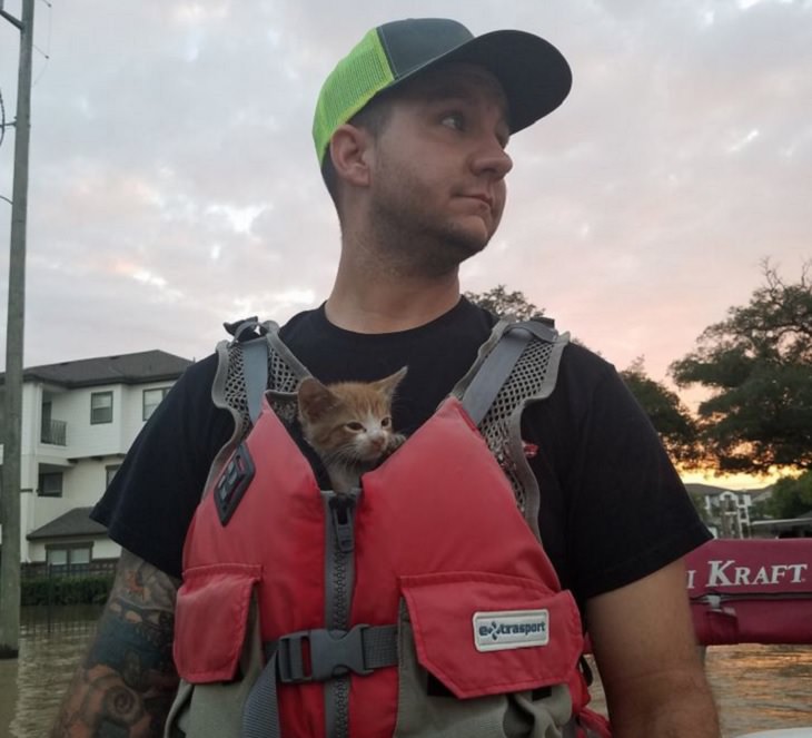 Photos showing the power and aftermath of natural disasters, small rescued kitten clings to jacket of rescue worker after Hurricane Harvey