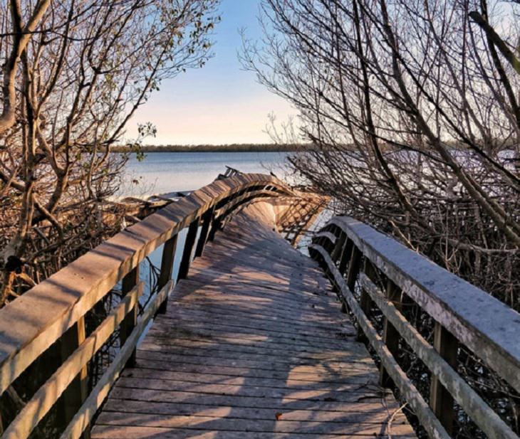 Photos showing the power and aftermath of natural disasters, boardwalk that twists at the end after being damaged by a hurricane