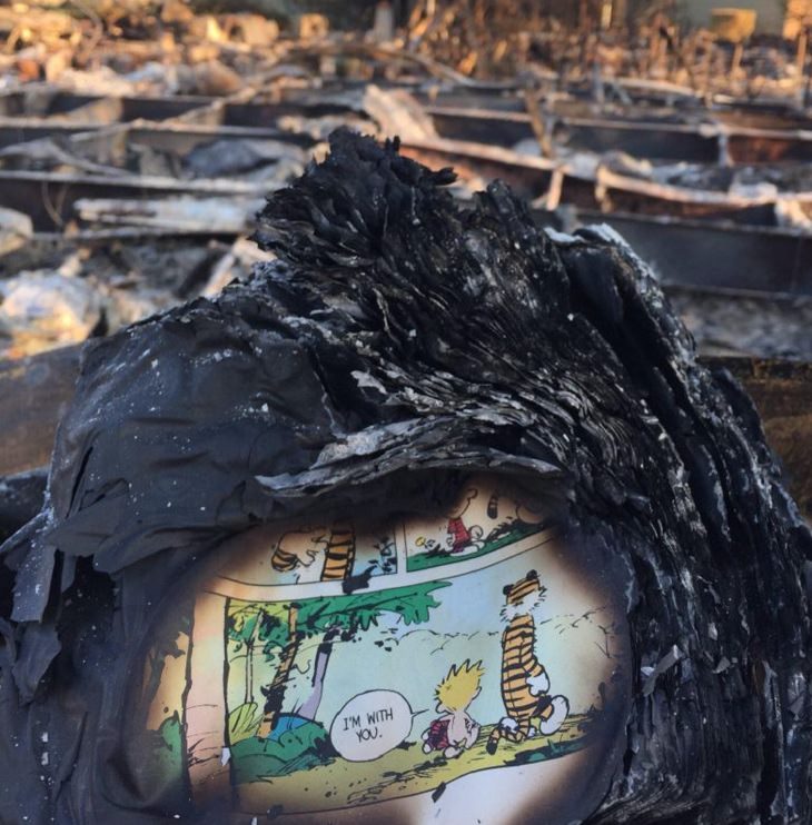 Photos showing the power and aftermath of natural disasters, page of Calvin and Hobbes found in ashes of a house after California fires