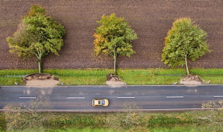 Photos showing the power and aftermath of natural disasters, Aerial view of fallen trees next to a road in Germany after Storm Xavier