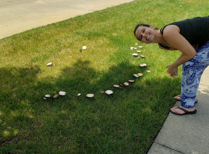 Everyday items with unexpected faces that, once seen, can never be unseen, mushrooms grown in grass in the shape of a smiley face