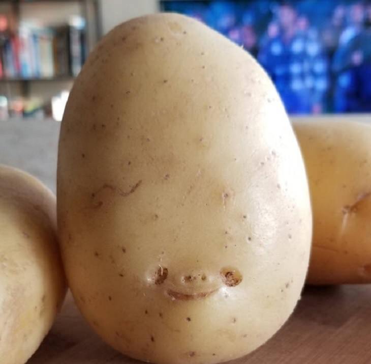 Everyday items with unexpected faces that, once seen, can never be unseen, potato with a smiley face