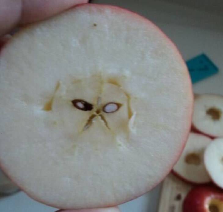 Everyday items with unexpected faces that, once seen, can never be unseen, apple with core and seeds that look like a grumpy face