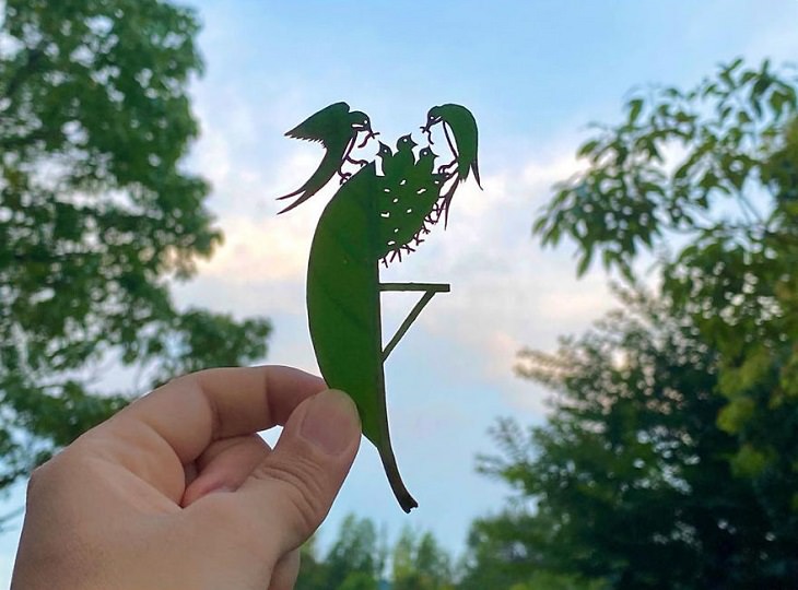 Lito Leaf Art, Japanese artist carves out detailed and intricate drawings of animals on leaves, Parenting swallows