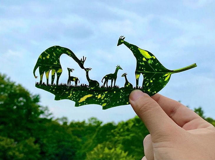 The Wonderful World of Lito's Leaf Art