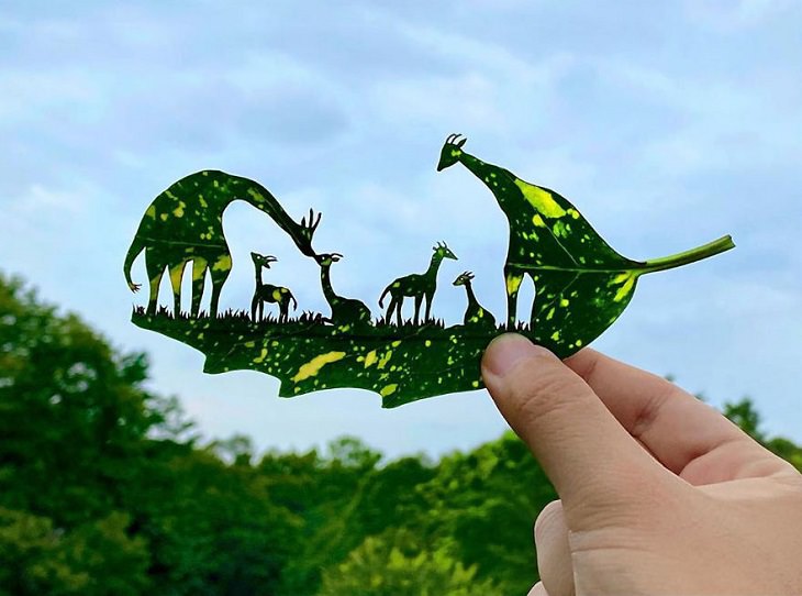 Lito Leaf Art, Japanese artist carves out detailed and intricate drawings of animals on leaves, The Giraffe’s Nursery School