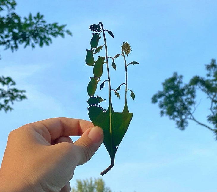 Lito Leaf Art, Japanese artist carves out detailed and intricate drawings of animals on leaves, Did you get the sunflower seeds?