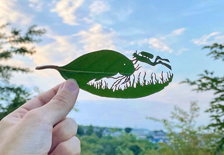 Lito Leaf Art, Japanese artist carves out detailed and intricate drawings of animals on leaves, Sea Vegetarian