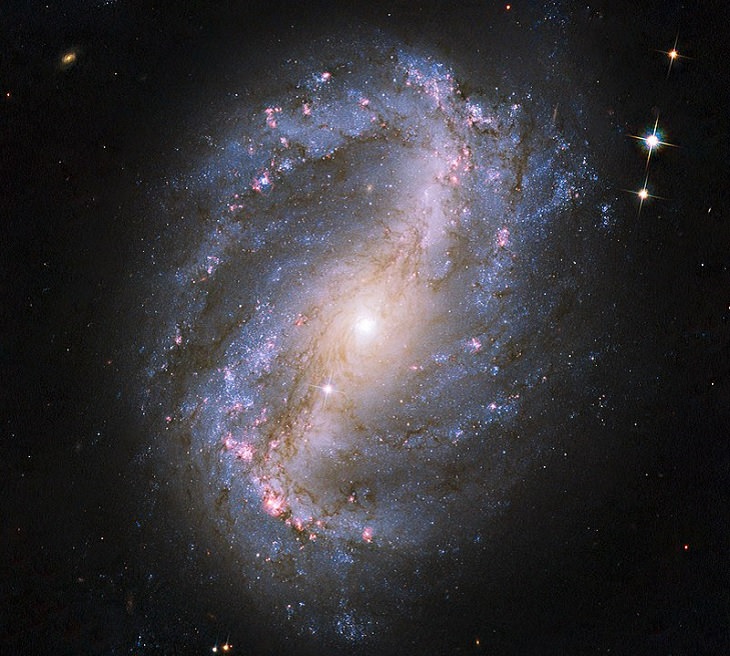 Photo gallery of the most unusual and strangely beautiful galaxies found in the universe and across space, Galaxy NGC 6217, a barred spiral galaxy found in the Ursa Minor constellation