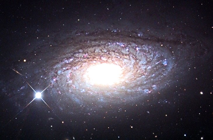 Photo gallery of the most unusual and strangely beautiful galaxies found in the universe and across space, The Sunflower Galaxy (NGC 5055, better known as Messier 63 or M63)