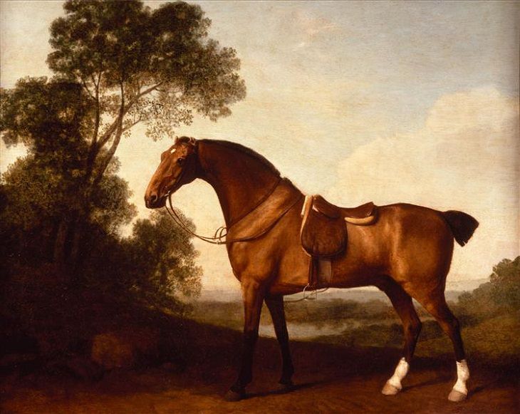 Best horse-inspired paintings by English artist George Stubbs who influenced 18th century romanticism, A Saddled Bay Hunter, 1786