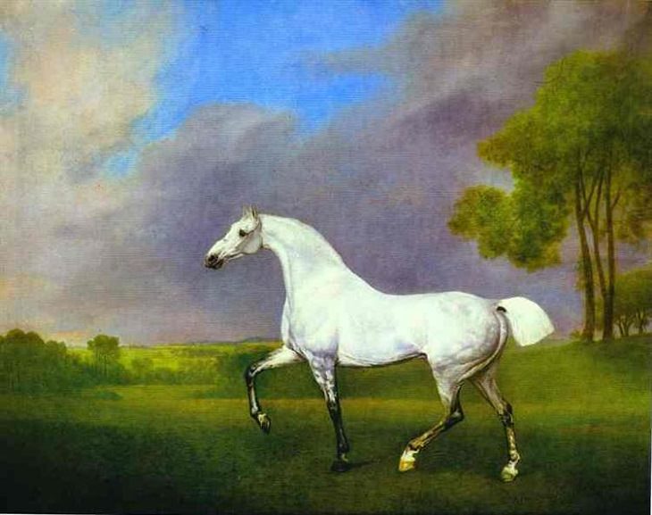 Best horse-inspired paintings by English artist George Stubbs who influenced 18th century romanticism, A Grey Horse, 1793