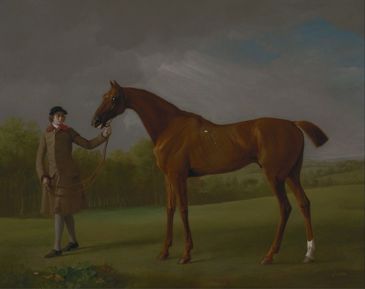 Best horse-inspired paintings by English artist George Stubbs who influenced 18th century romanticism, Lustre held by a Groom, 1762