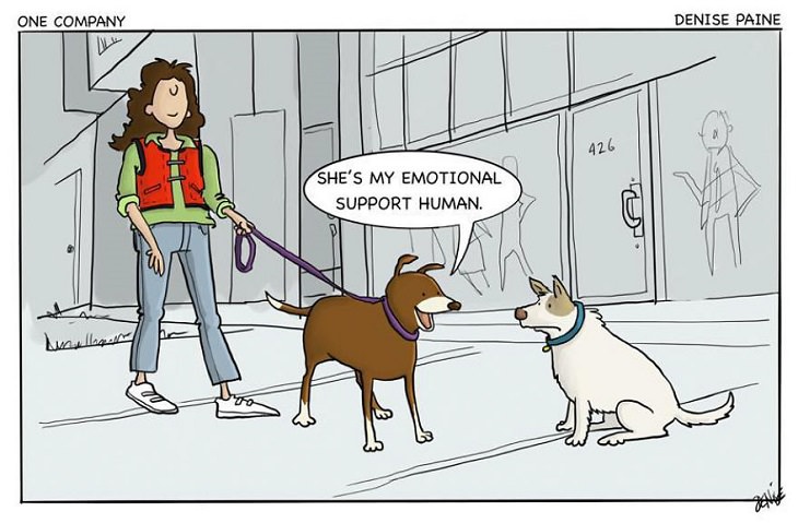 Hilarious cartoons and comics on the life and secret thoughts of dogs by illustrator Denise Natali-Paine