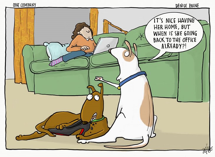 Hilarious cartoons and comics on the life and secret thoughts of dogs by illustrator Denise Natali-Paine