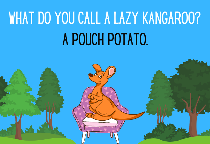 Animal Puns & Jokes, kangaroo