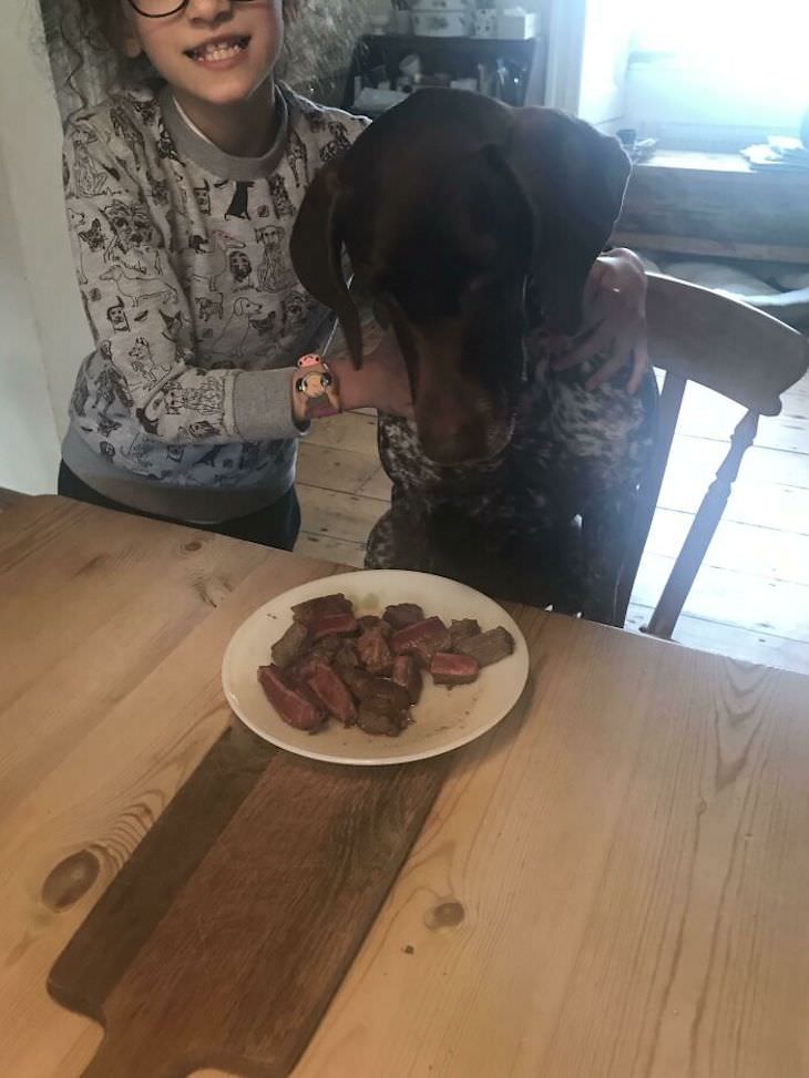 Adorable Friendships Between Kids & Their Dogs, eating steak