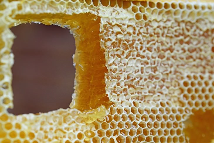 Honey vs Sugar Honey in a hive 