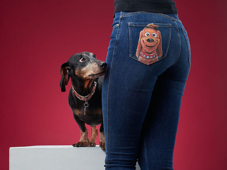 Humorous and Expressive Dog Portraits Dachshund