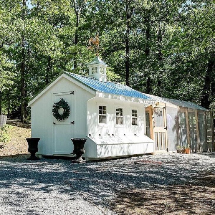 Chicken Coops, mansion