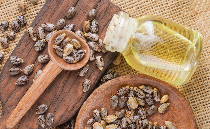 castor oil and seeds