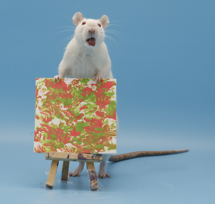 Mascotas divertidas, ratón pintor