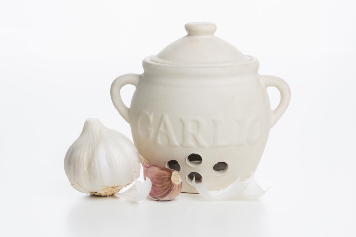 Garlic Storage garlic keeper