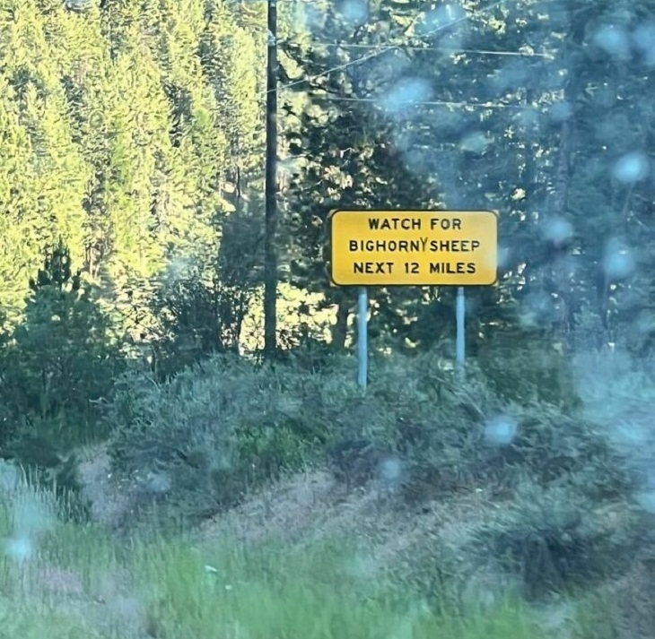 Funny Signs, road sign